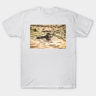 Otter in water T-Shirt